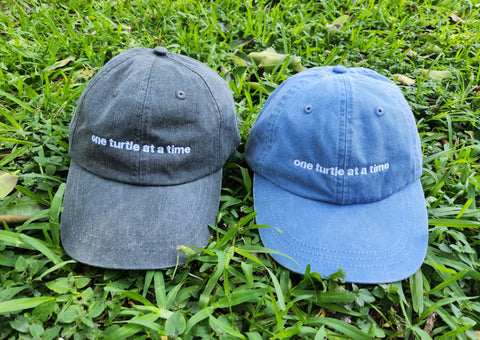 ONE TURTLE AT A TIME ADULT CAP