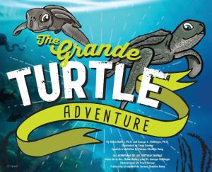 THE GRANDE TURTLE ADVENTURE